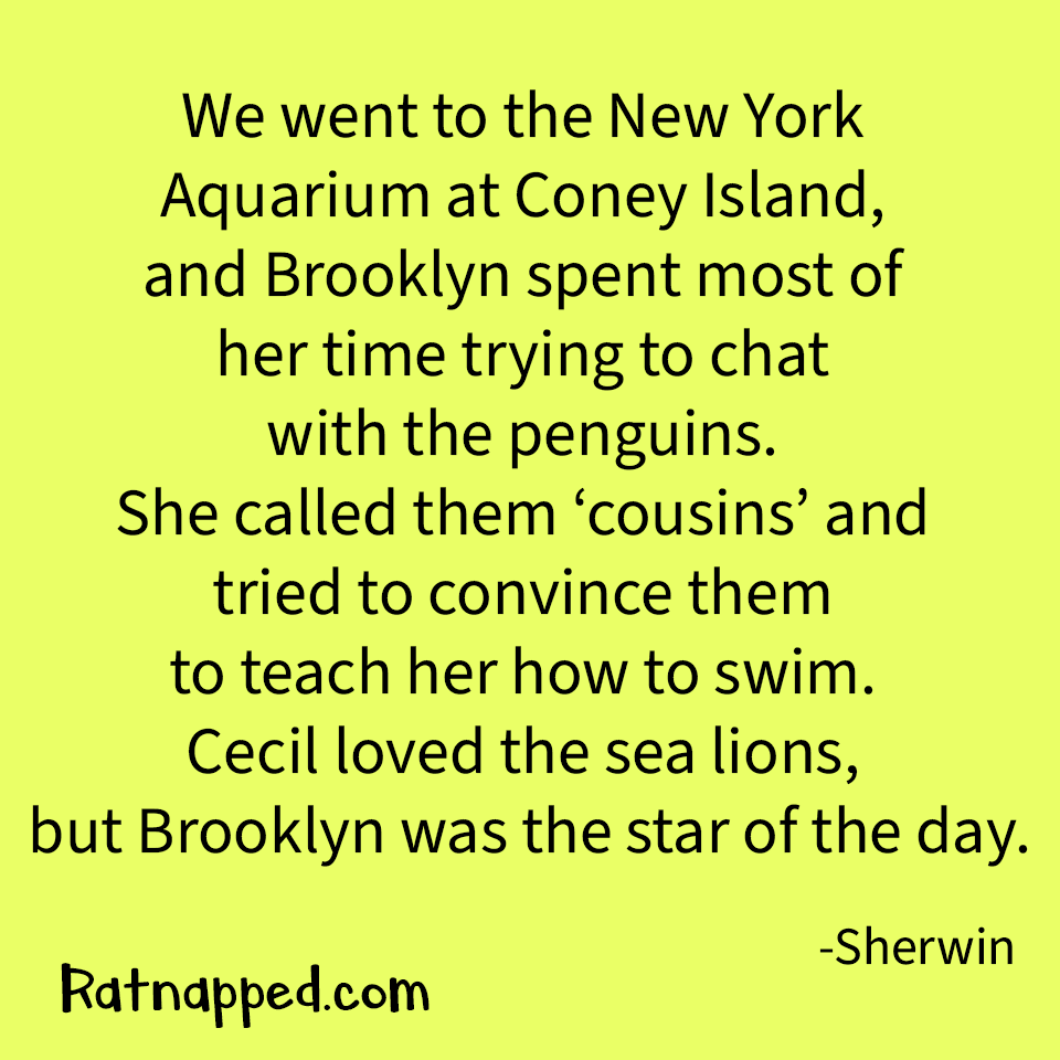 Ratnapped_Book's tweet photo. Big ideas from Sherwin—click now! #Ratnapped #ChildrensBooks #BedtimeStories #KidsBooks #IndieAuthor #FamilyReading https://t.co/euiz3VAFwt