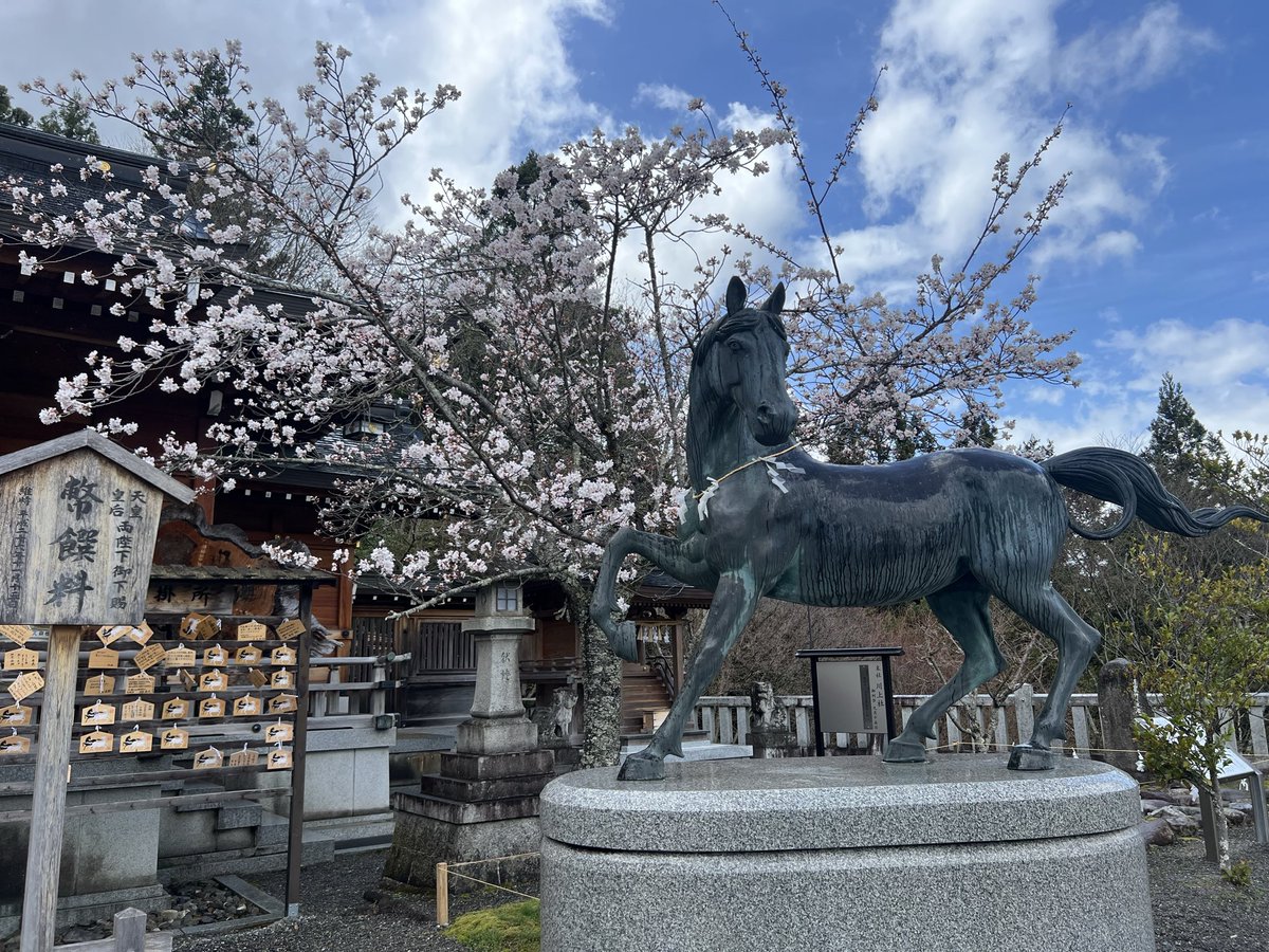 ✡即アポガードマン✡ tweet media