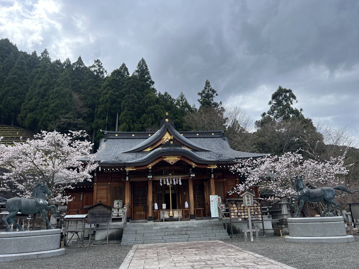 ✡即アポガードマン✡ tweet media