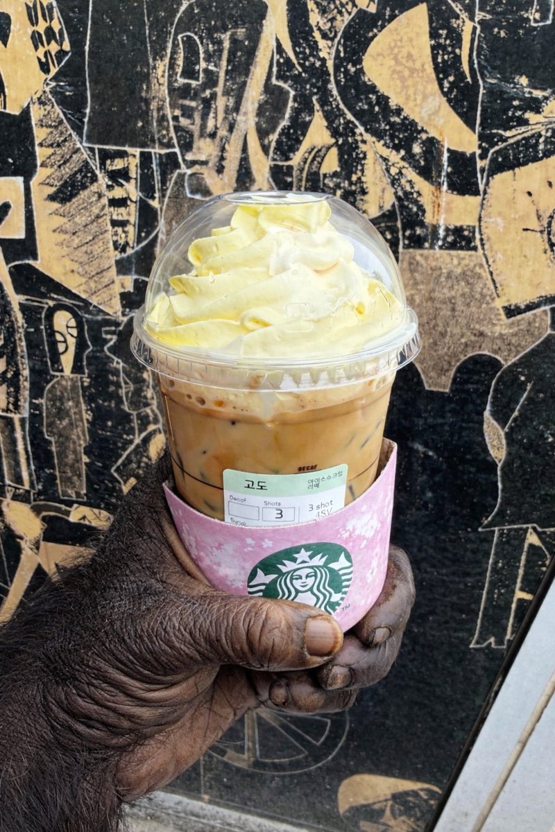 🐻‍❄️🚪 tweet media