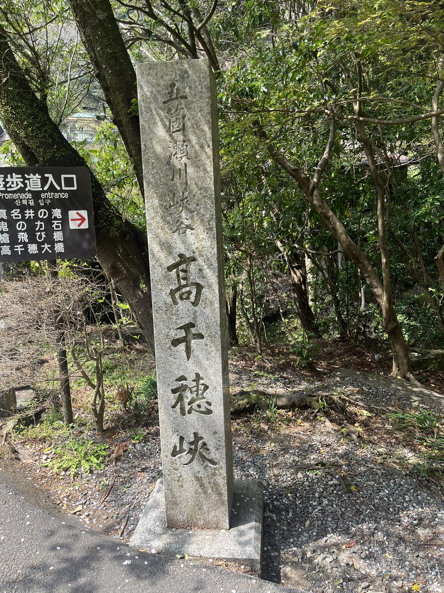 あちょーさん㌣ tweet media