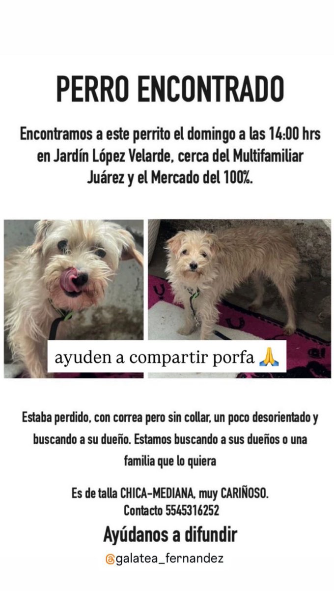 RT por favor!!!! 🙏🏼