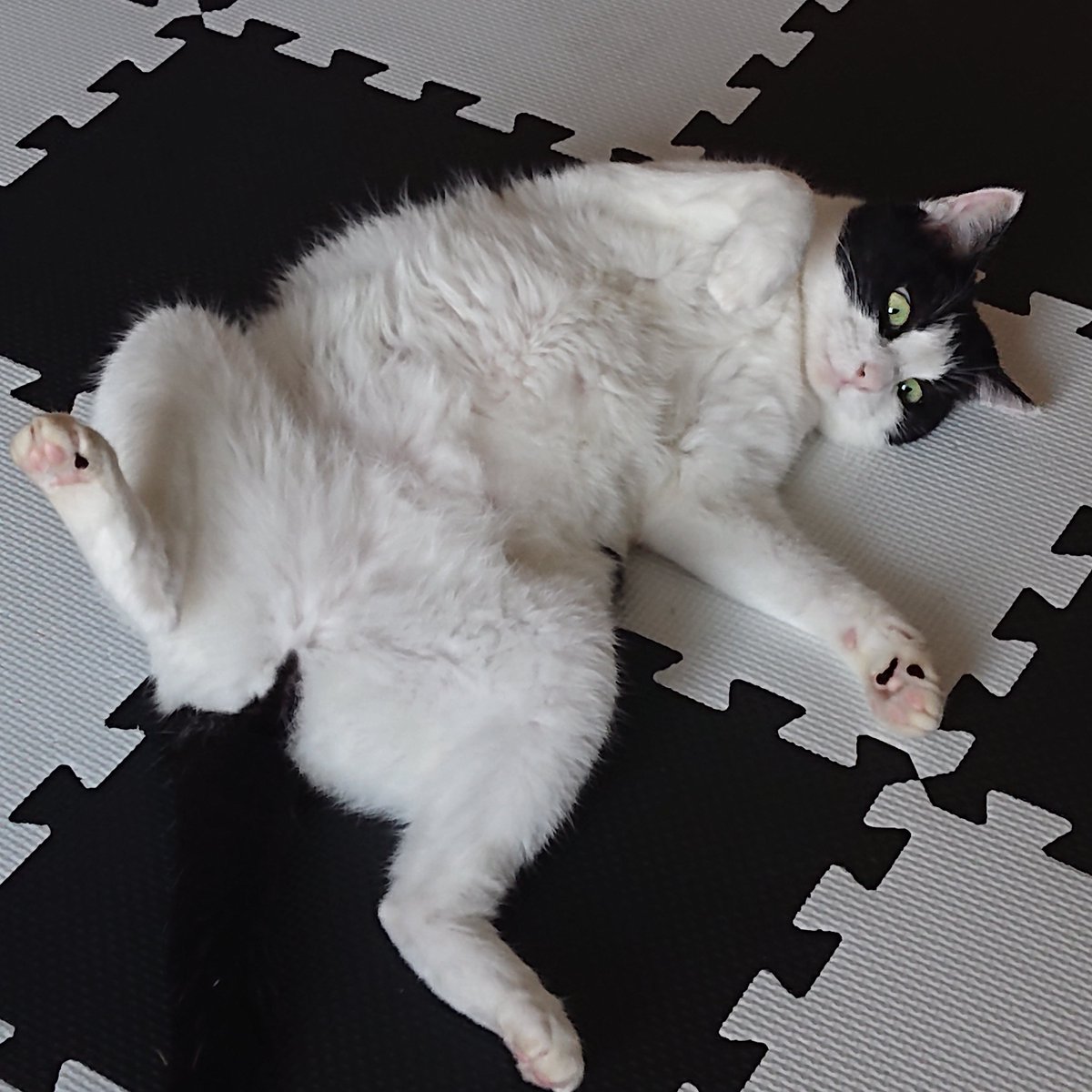 UNTITLED MOVIE tweet media