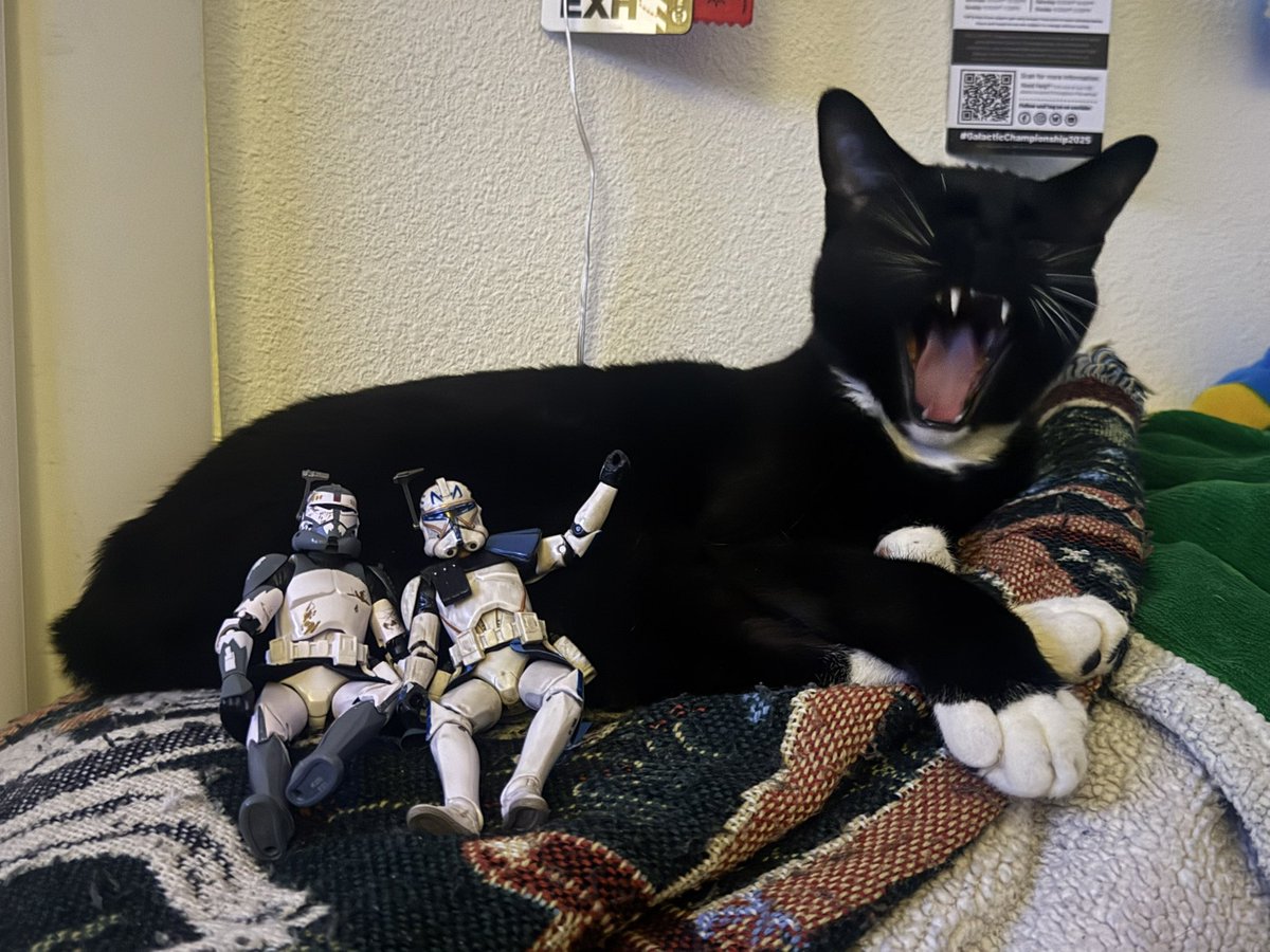 lucky | akredhood on tt tweet media