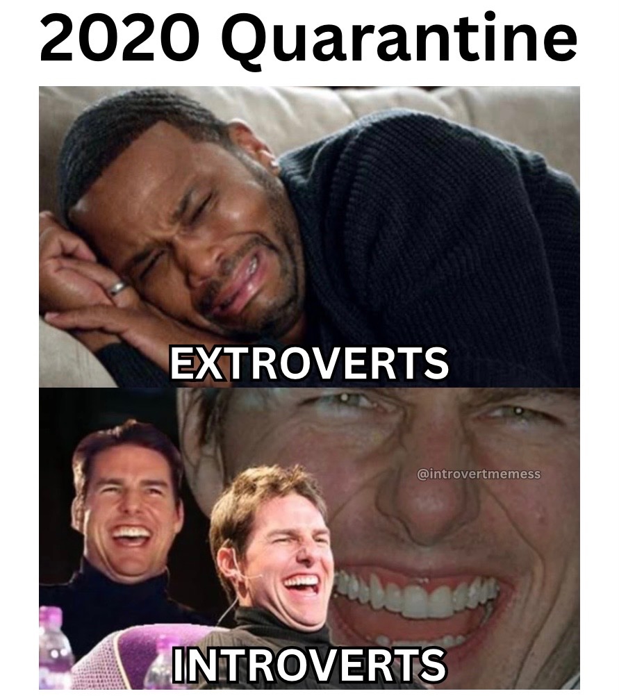 All About Introverts tweet media