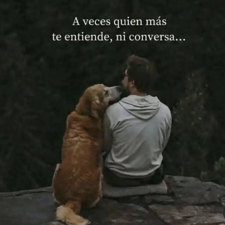 M e n s a j e s tweet media