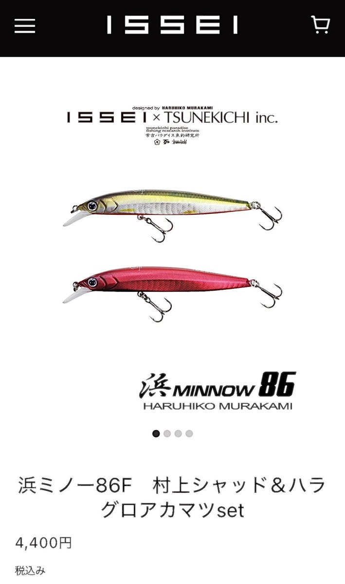 フィッシングは人を救うch(FHS ch) tweet media