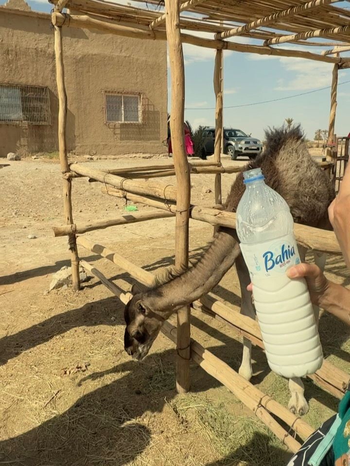 Madi Aguilera tweet media