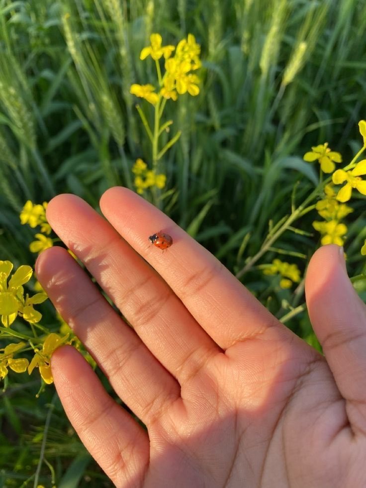 💫𝕲ö𝖓ü𝖑💫 tweet media