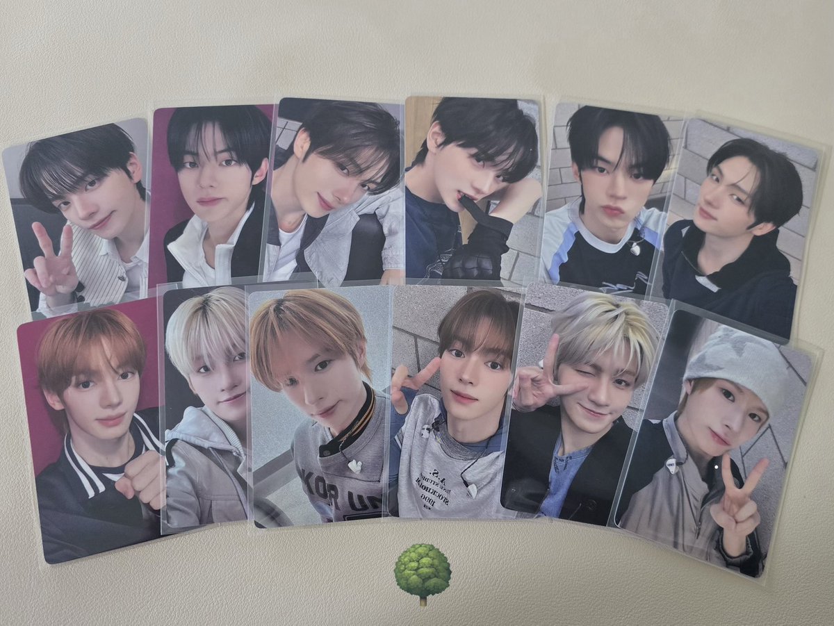 알감자 나무🌳 tweet media