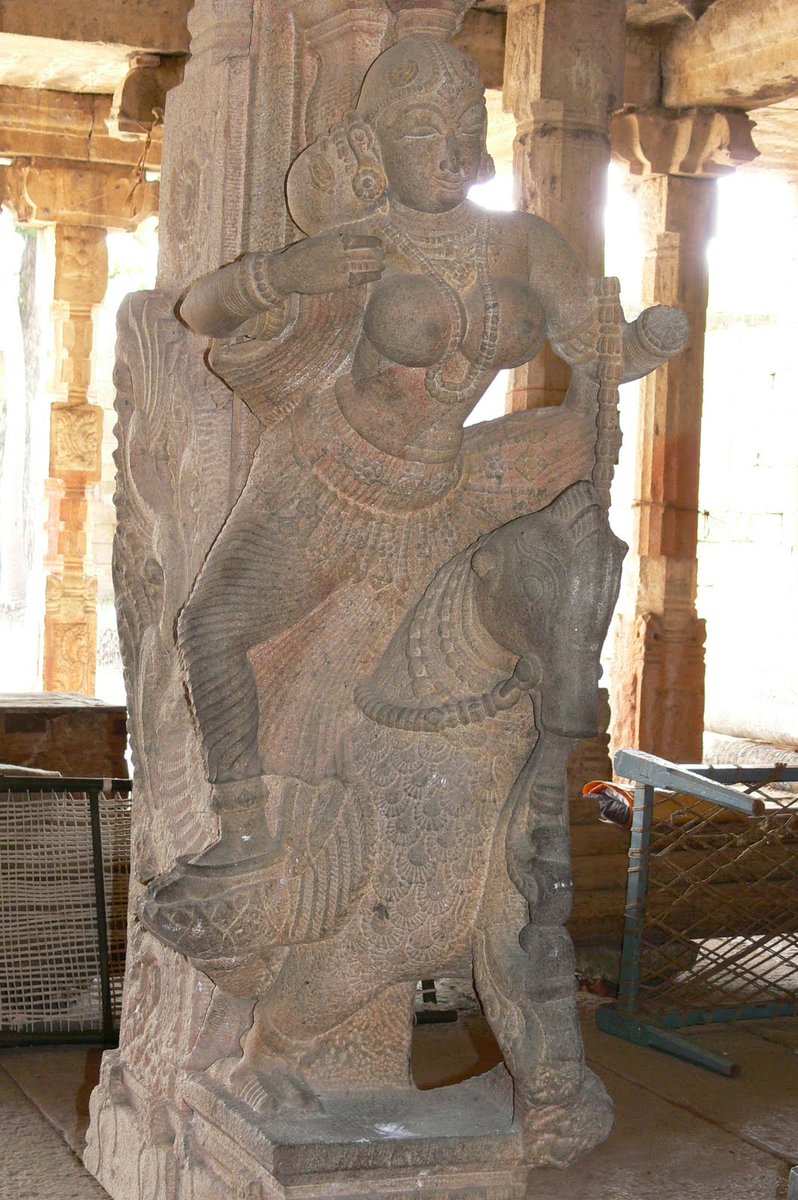 Cesar Shaffer tweet media