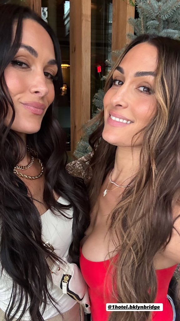 Brie Garcia | Not @NikkiAndBrie commentary. tweet media