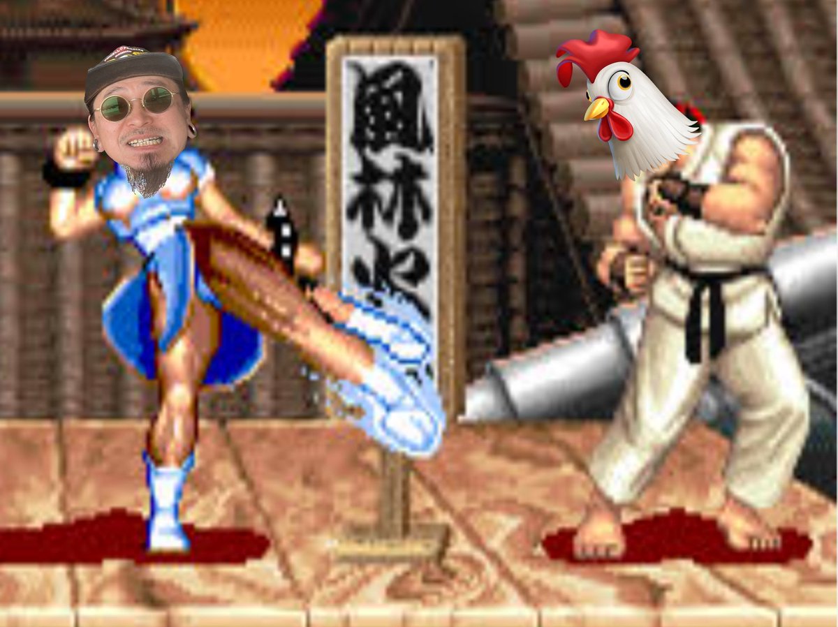 🐱ねこねこ🐱 tweet media