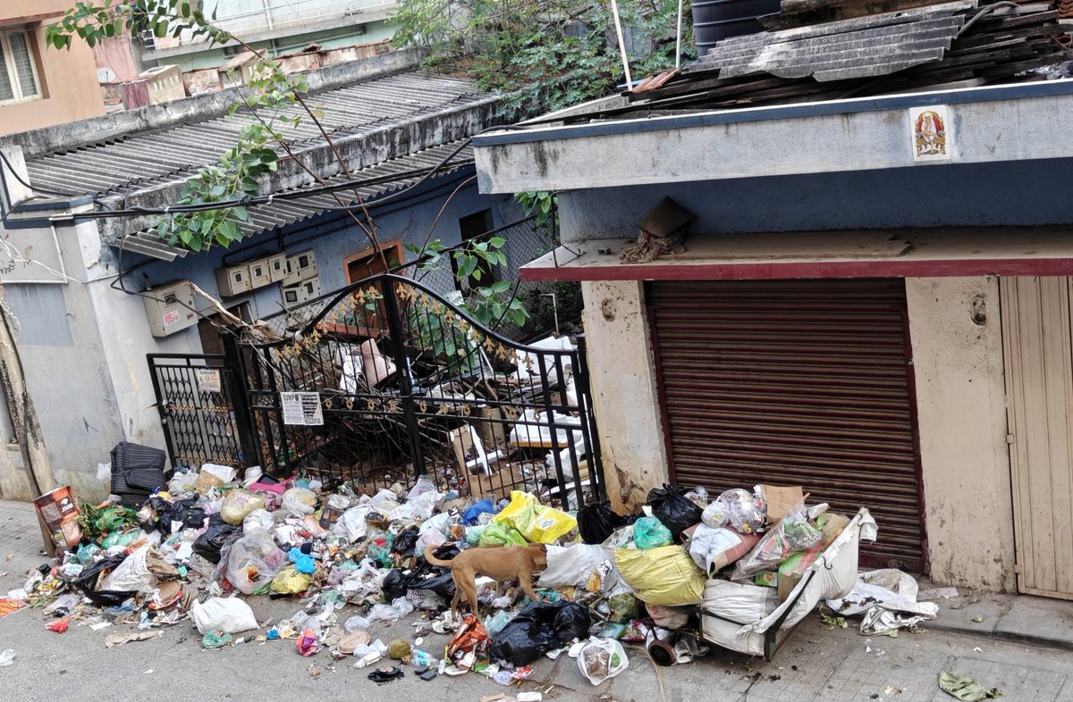 asterixu605 tweet media