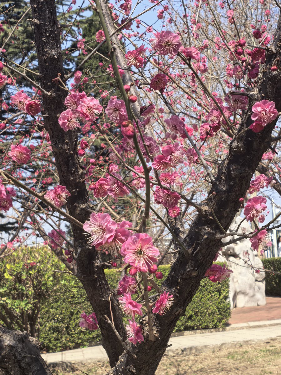 あ★ん！ NOVENA AGUNG DATEABLE (6/9) tweet media