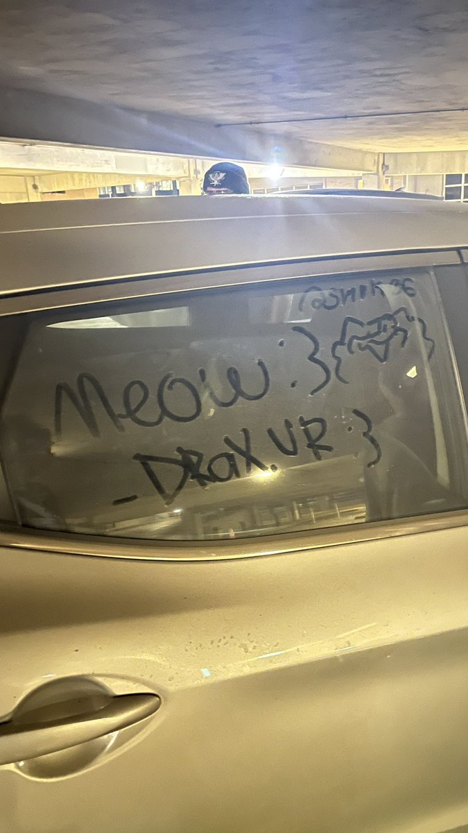 Meownado~ 🔞 🔜FWA tweet media