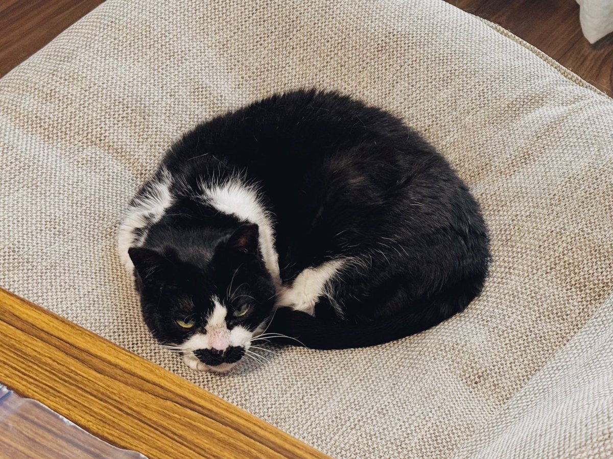 水夜子 tweet media