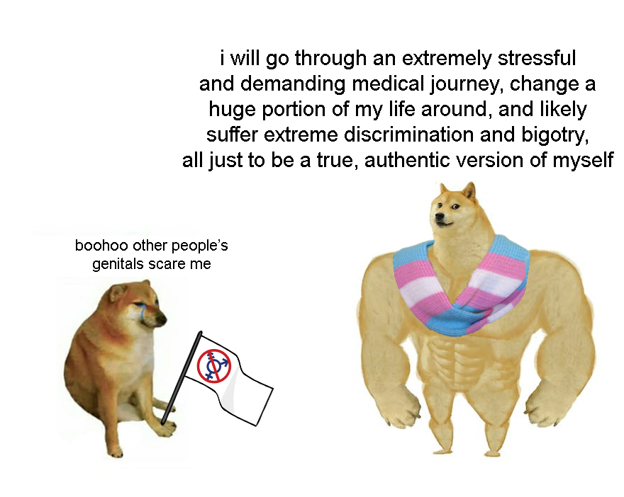 ryuudairenjaa tweet media