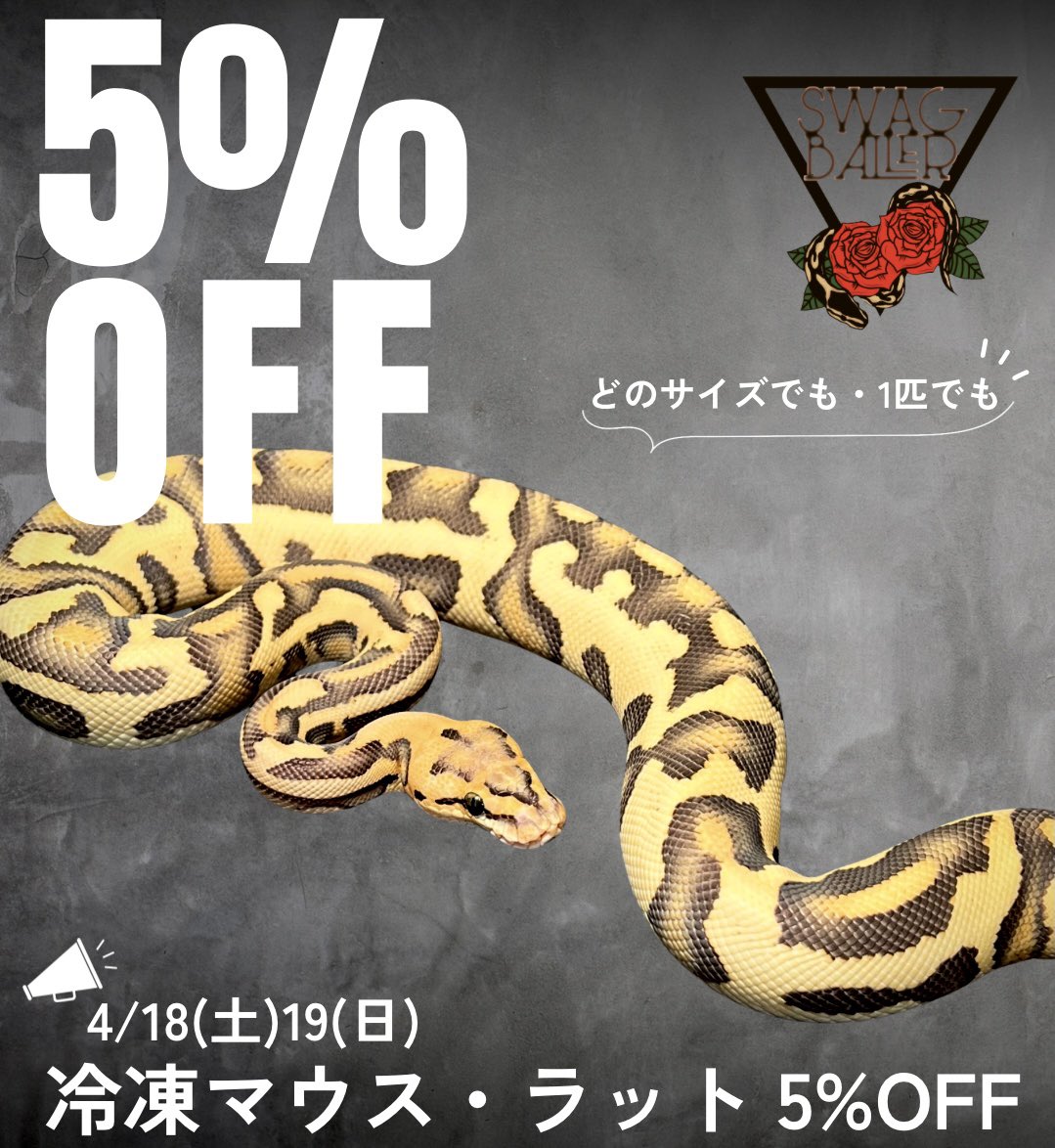 SWAG Baller tweet media