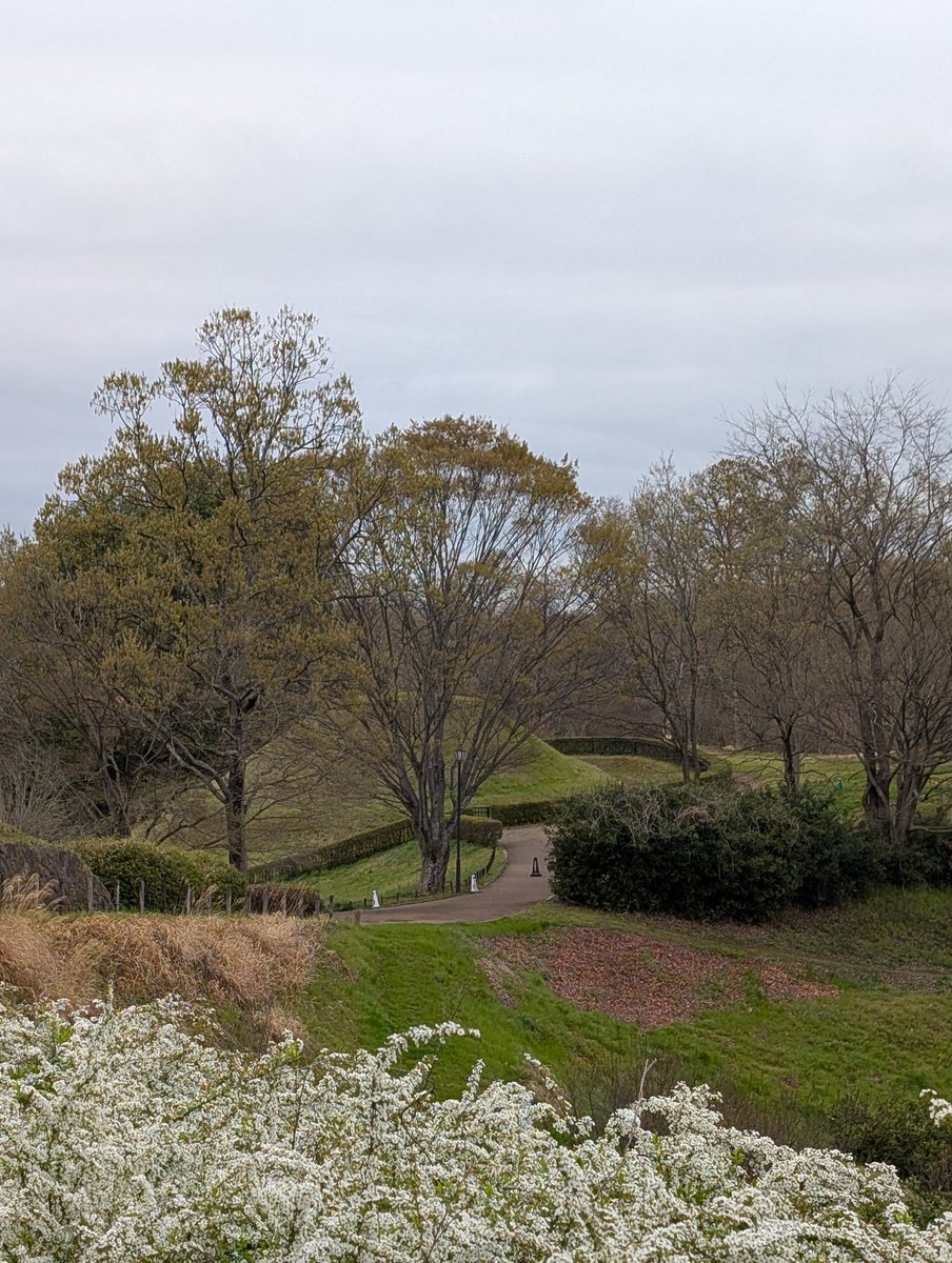 扶余と飛鳥 tweet media