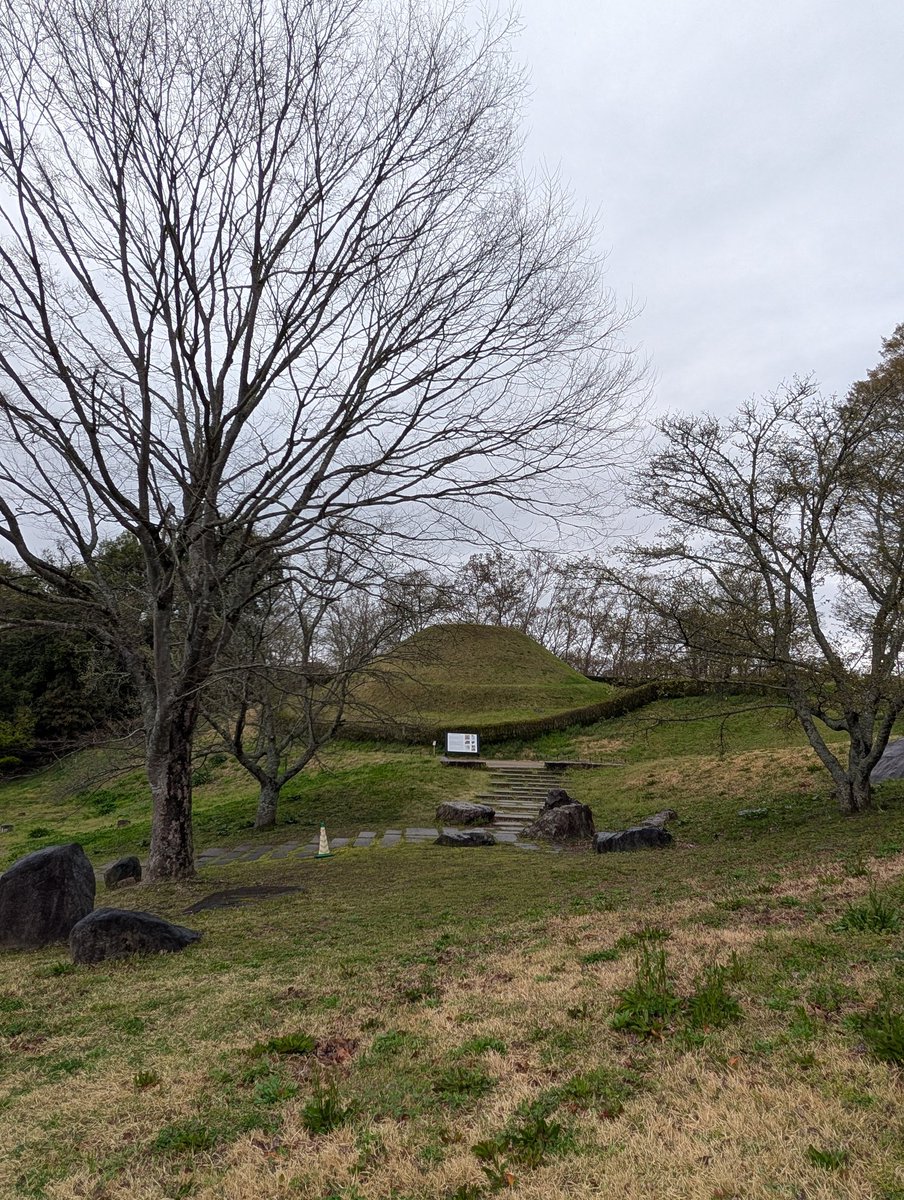 扶余と飛鳥 tweet media