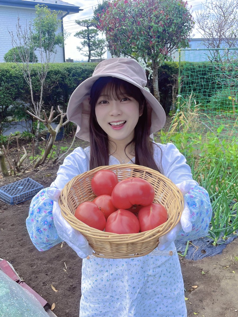 根本結菜【アイドル革命】 tweet media