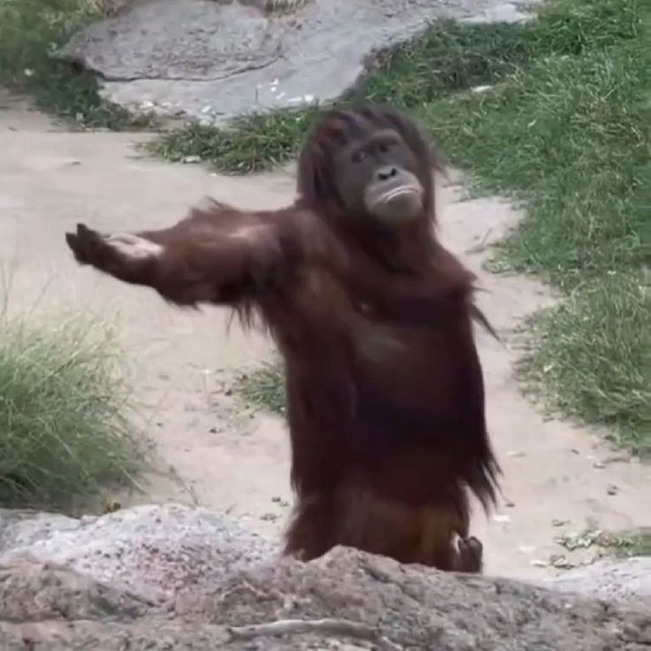 𝓐er𝓲s tweet media