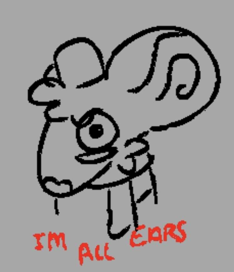 Bagel🍩 tweet media