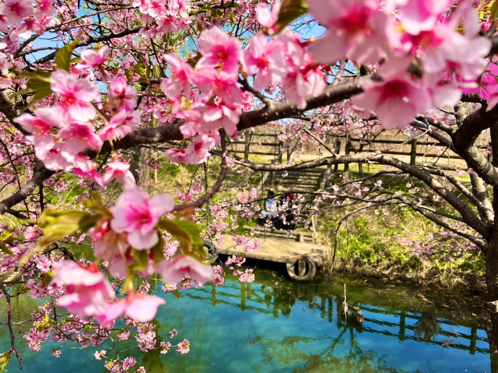 玉川軒@玉吉🍡 tweet media