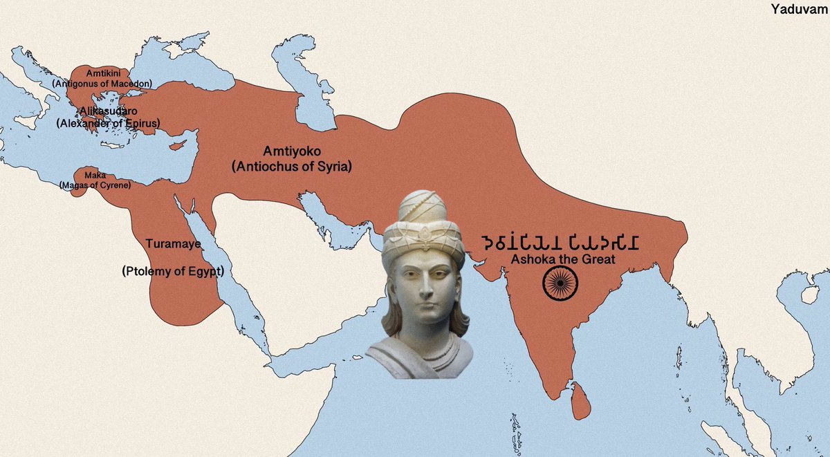 प्रथम✴︎ tweet media