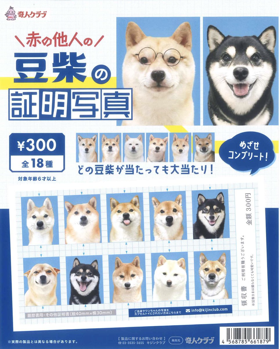 🌈入荷のお知らせ🌈 📍赤の他人の豆柴の証明写真 📍赤の他人の卒業写真