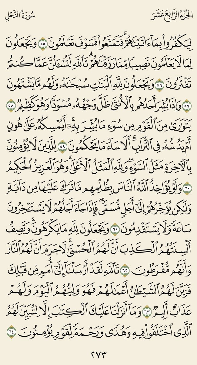 صفحةُ قرآن tweet media