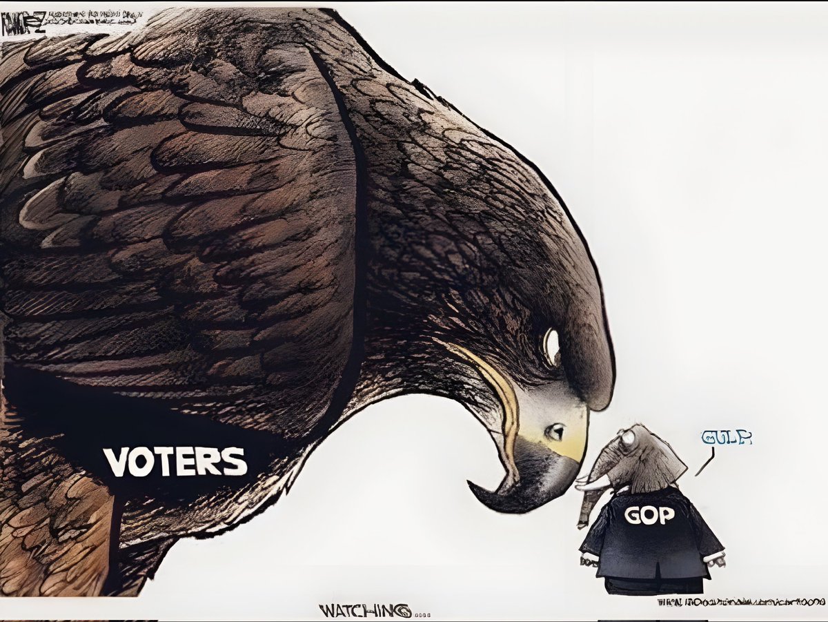 BeardedScallyWag tweet media