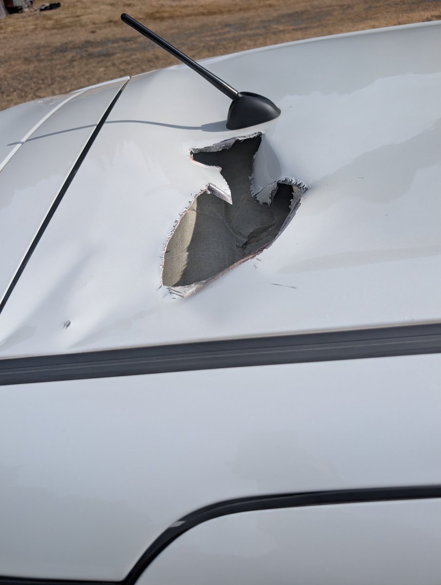 ドチャ tweet media