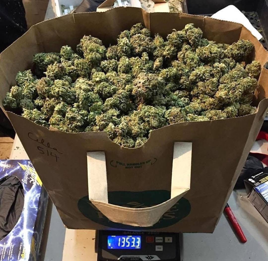 Weedery tweet media