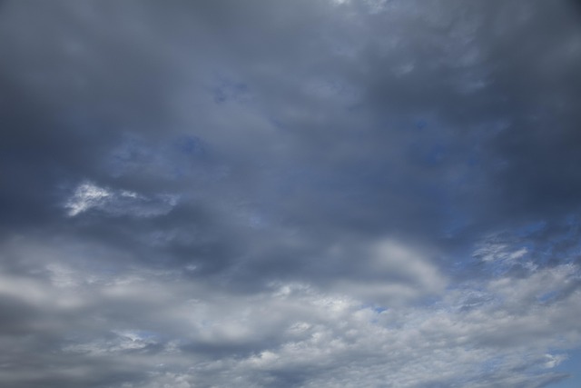 Devon Basinger tweet media