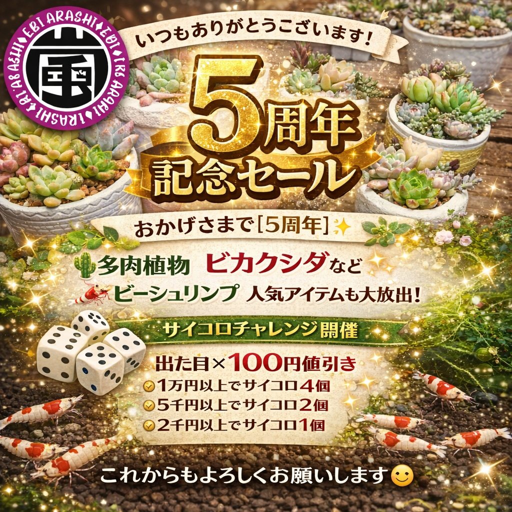 ebi__arashi's tweet photo. 皆様のおかげで
えび嵐は5周年を迎えます

日頃の感謝を込めて 5周年セールを行います
サイコロチャレンジや 
500円均一ワゴンセールなど
お得なイベントを企画しています

今年は観葉植物コーナーも充実させていきます

さらなるご愛顧 よろしくお願いします

#えび嵐
#5周年
#サイコロチャレンジ https://t.co/cve1RRFTRj