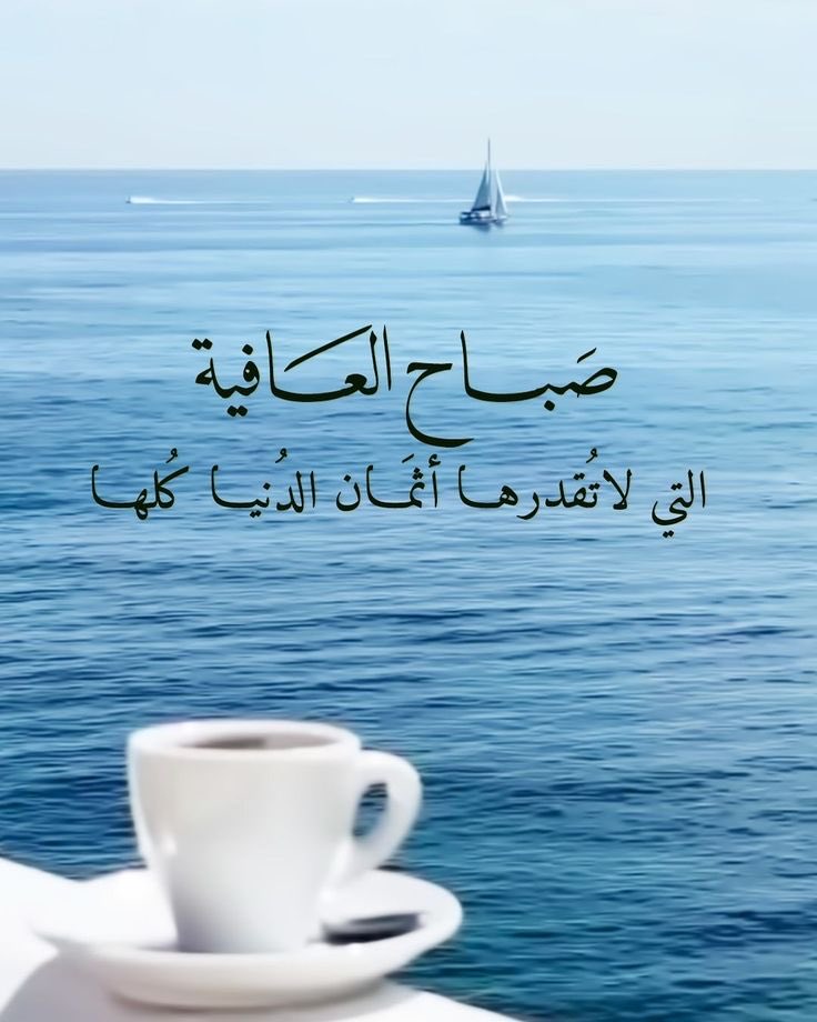 صالح بن سبره tweet media