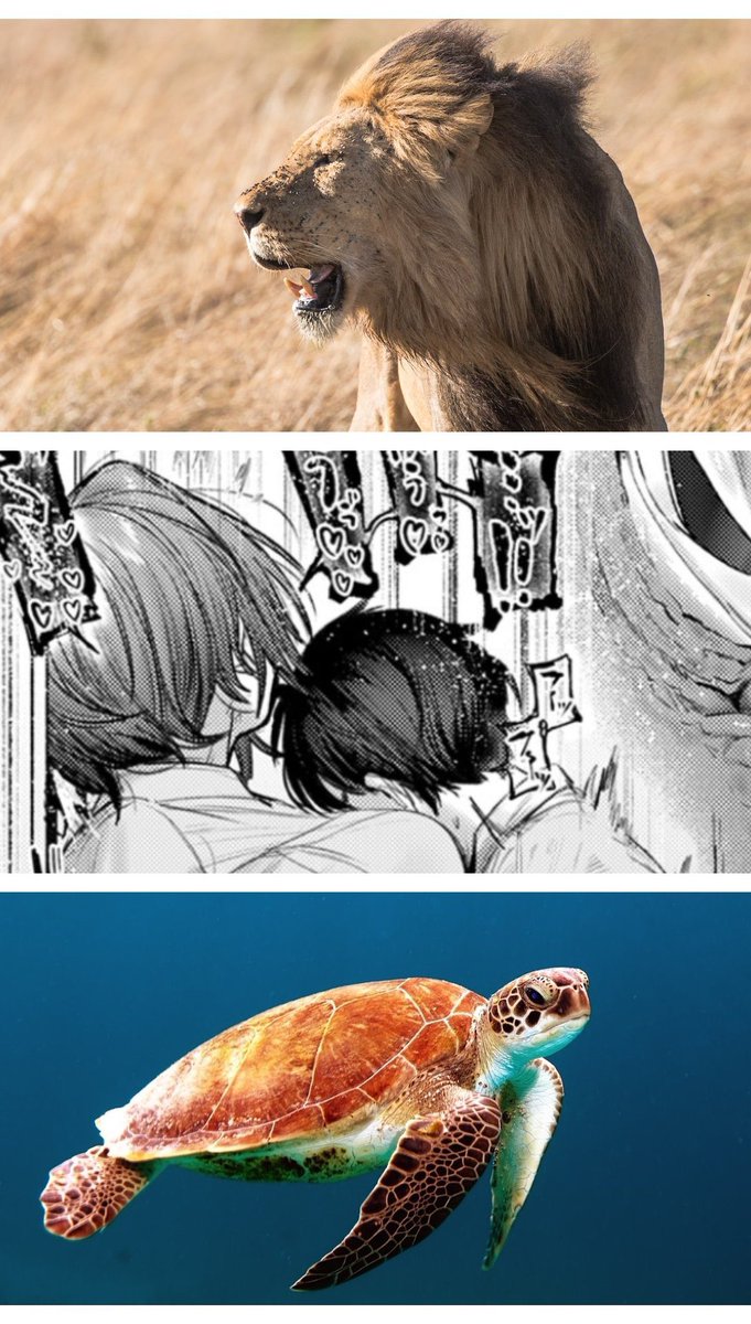 華🇦🇿＠MMORPG廃人🇦🇼 tweet media