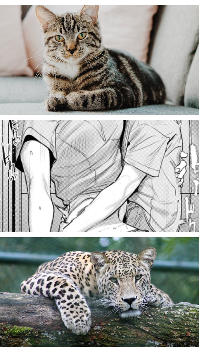 華🇦🇿＠MMORPG廃人🇦🇼 tweet media