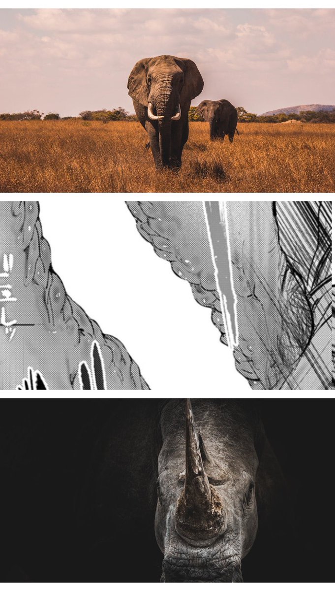 華🇦🇿＠MMORPG廃人🇦🇼 tweet media