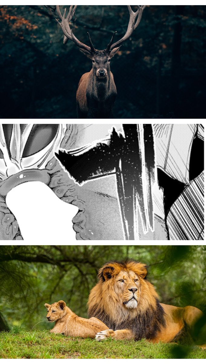 華🇦🇿＠MMORPG廃人🇦🇼 tweet media