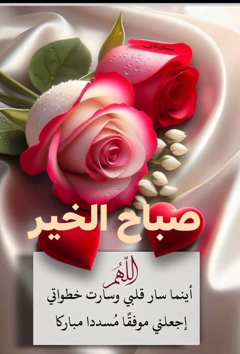 حسن الحدادي tweet media