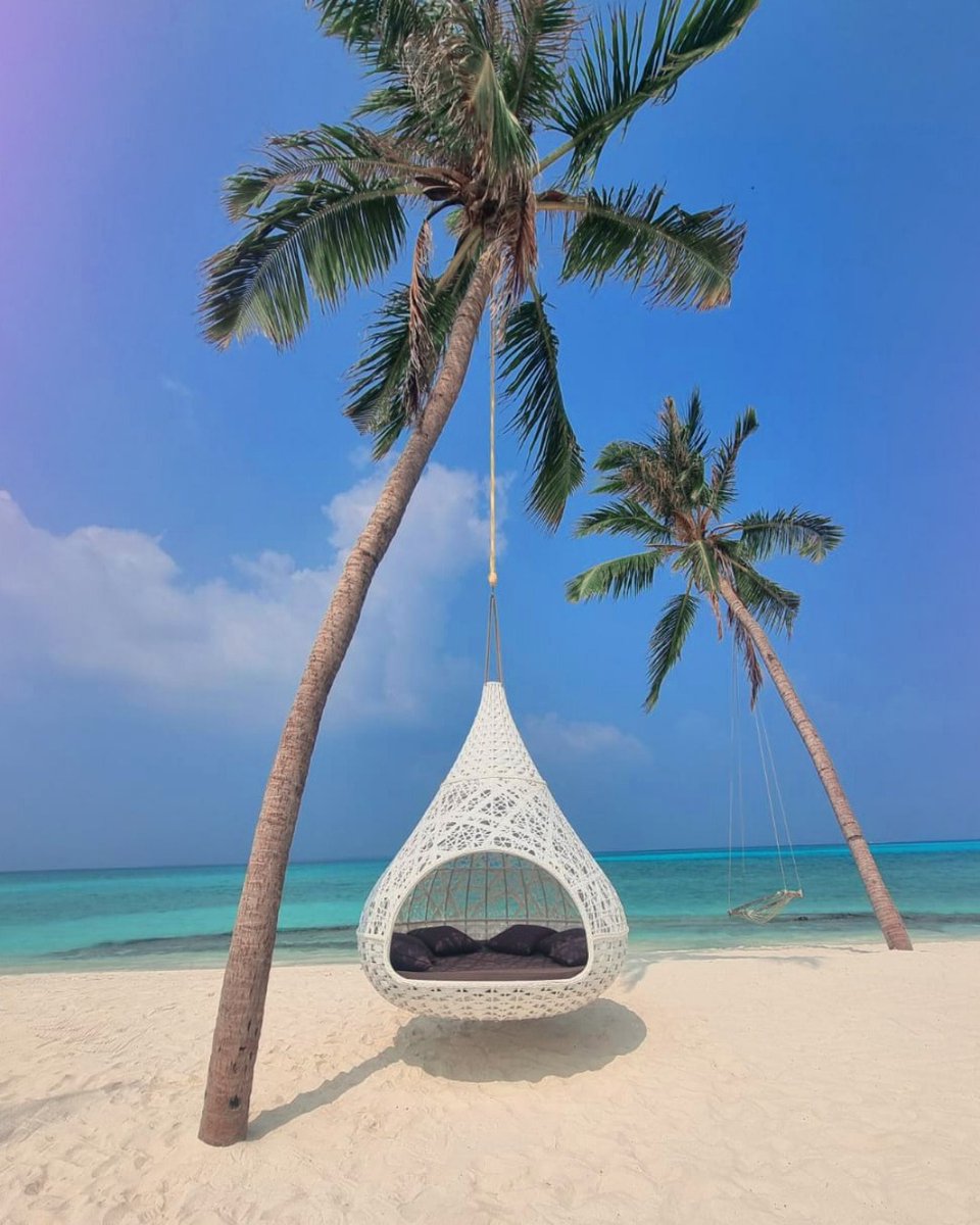 AAA_Hotels's tweet photo. Sink into serenity at Hondaafushi Island Resort, where swaying palms, powder soft sands and crystal clear waters create the perfect island escape. Relax in your own slice of paradise, listen to the gentle rhythm of the waves and let the beauty of the Maldives slow time around you https://t.co/LaIETltyzo