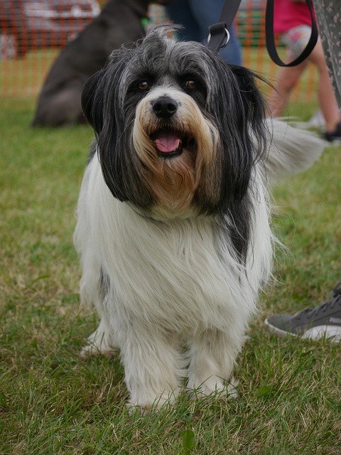 Mike Troop tweet media