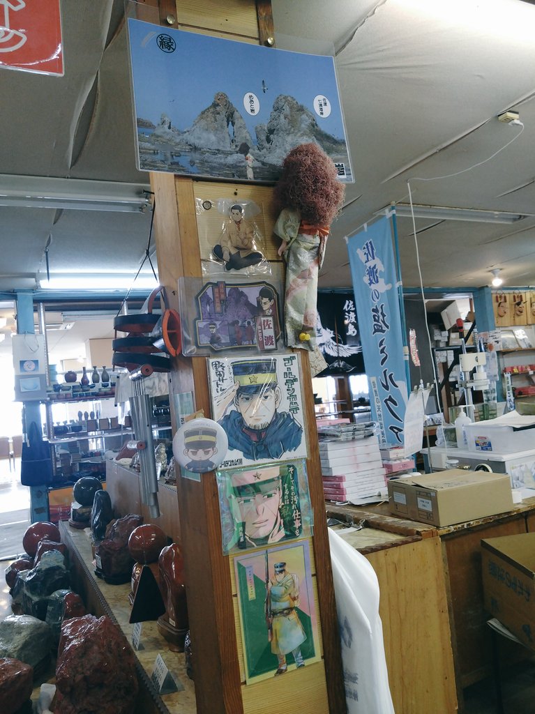 おゆこ🍺🍻 tweet media