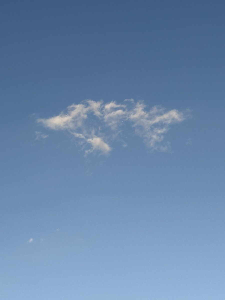 مشعل سلطان 🇦🇪 tweet media