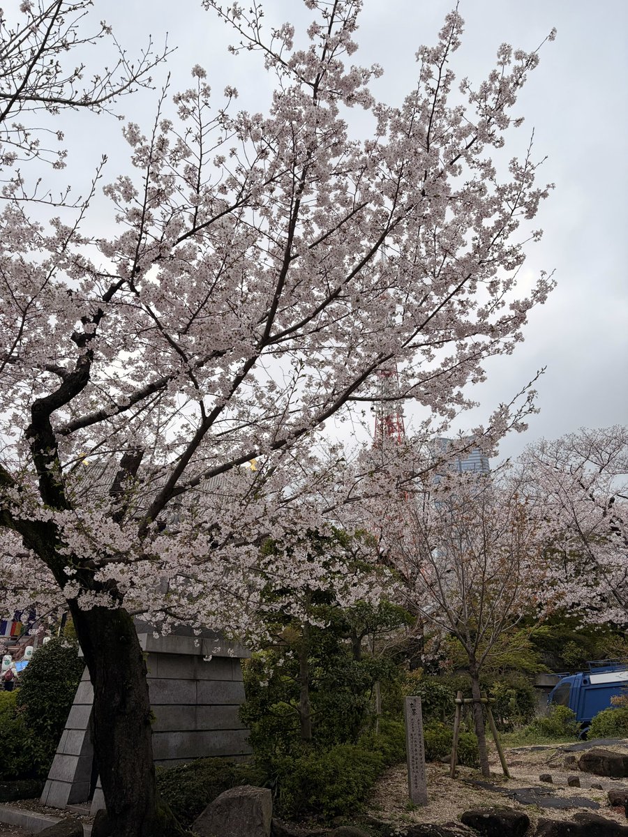 田澤こうま@関西けもケ【C-55】 tweet media