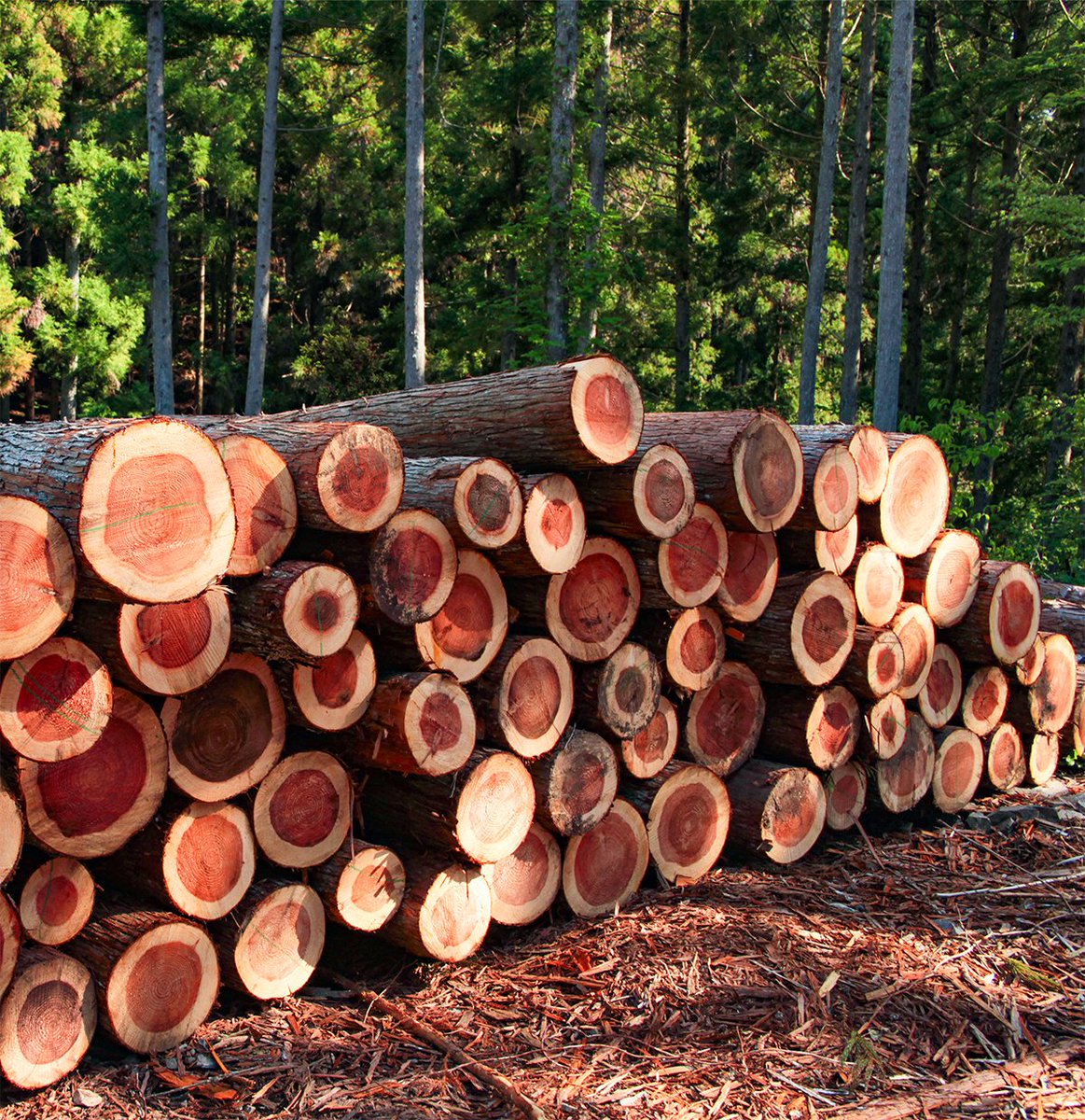 環境省 tweet media