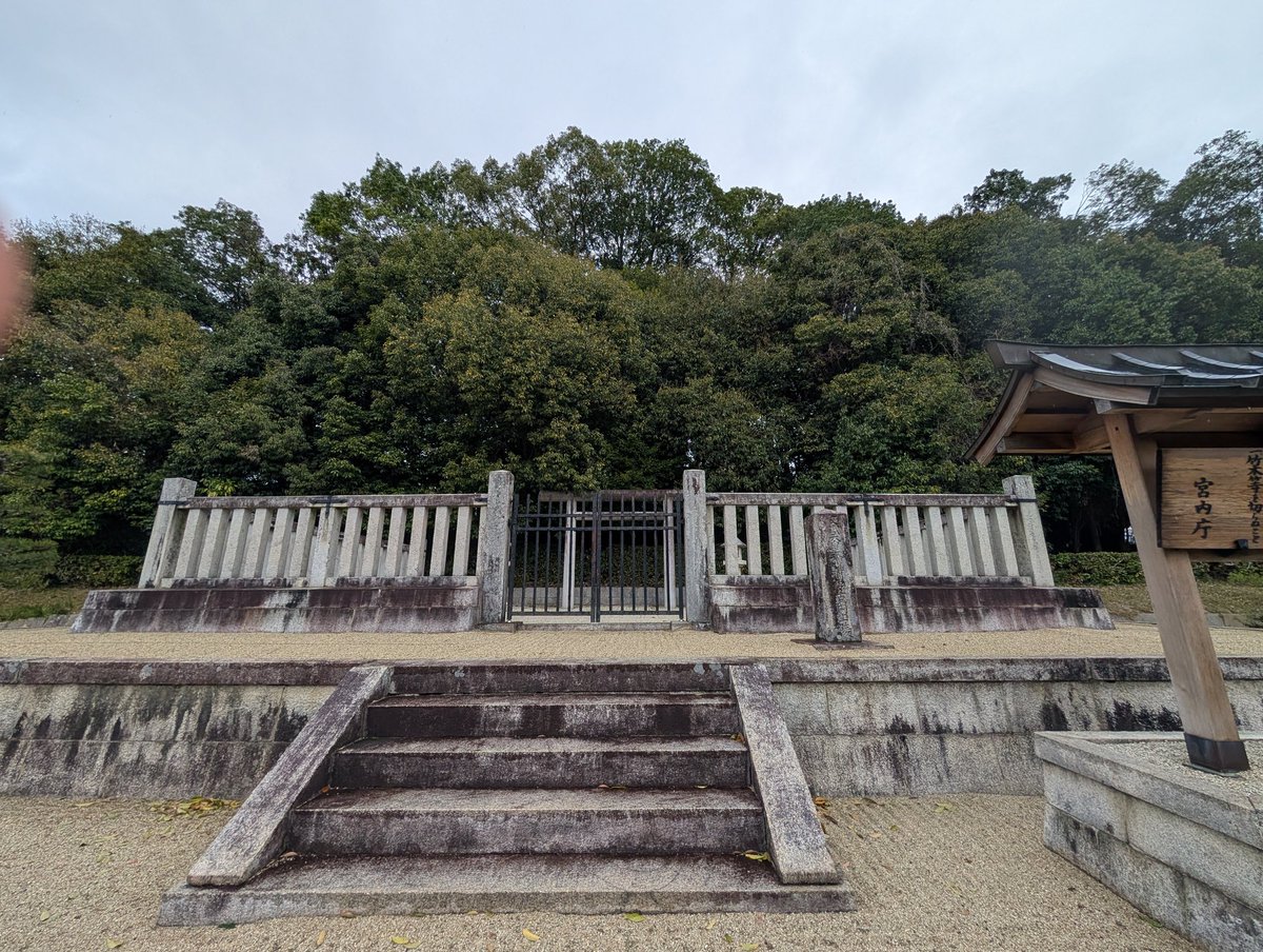 扶余と飛鳥 tweet media